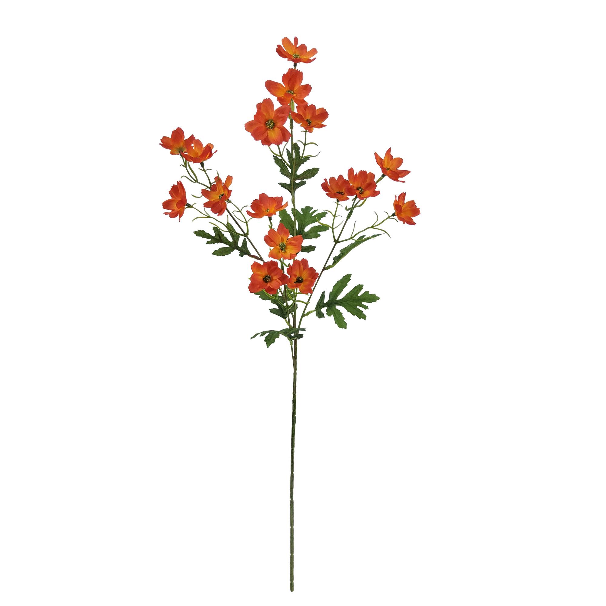 27.5" Orange Small Cosmos Stem by Ashland®